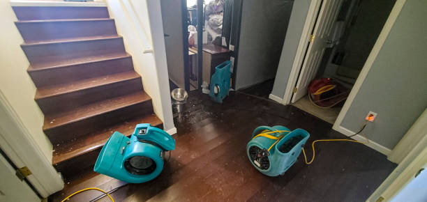 Best Professional water damage repair  in Edgerton, KS