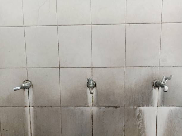 Best Commercial water damage restoration  in Edgerton, KS