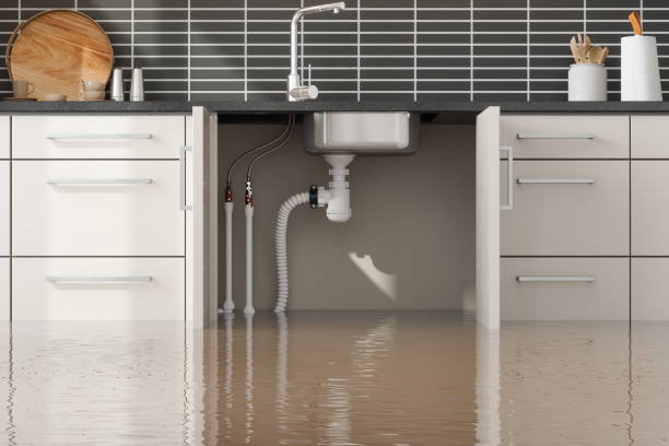 Water damage restoration mold remediation in Edgerton, KS